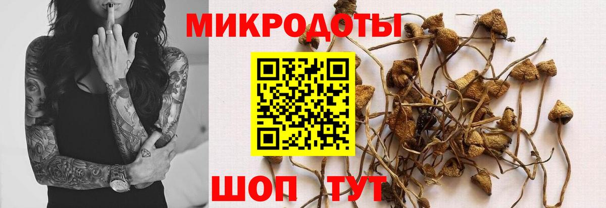 Псилоцибиновые грибы мицелий  Вход с VPN  Котлас  где купить наркотик  Псилоцибиновые грибы Cubensis 