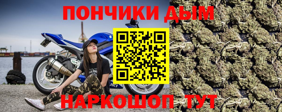 Бошки Шишки семена Котлас